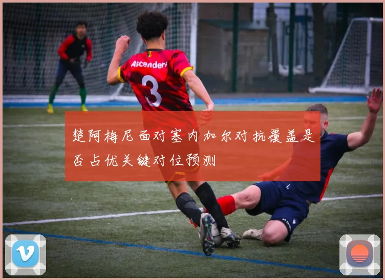 楚阿梅尼面对塞内加尔对抗覆盖是否占优关键对位预测
