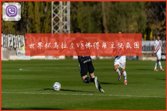 世界杯乌拉圭vs佛得角主场氛围