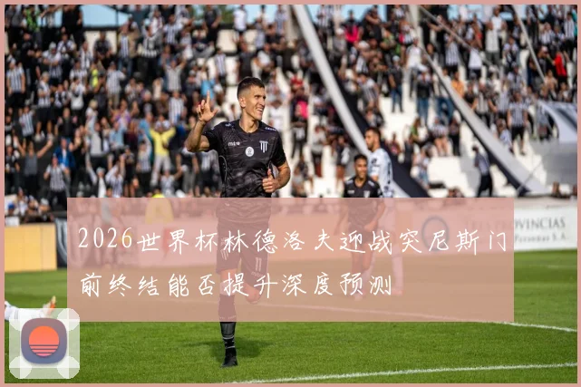 2026世界杯林德洛夫迎战突尼斯门前终结能否提升深度预测